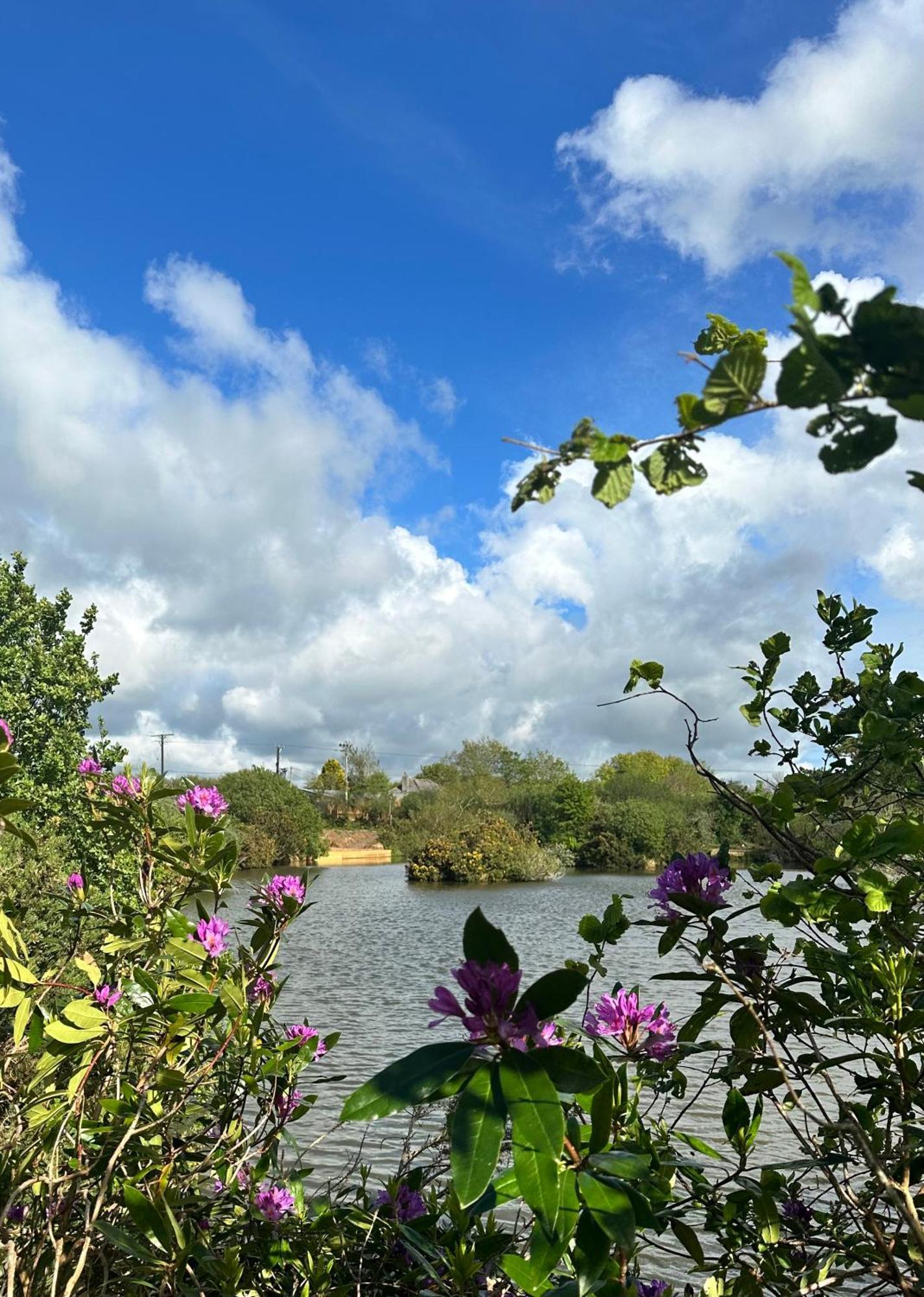 Lakeside Glamping Firecrest St Columb Major Esterno foto
