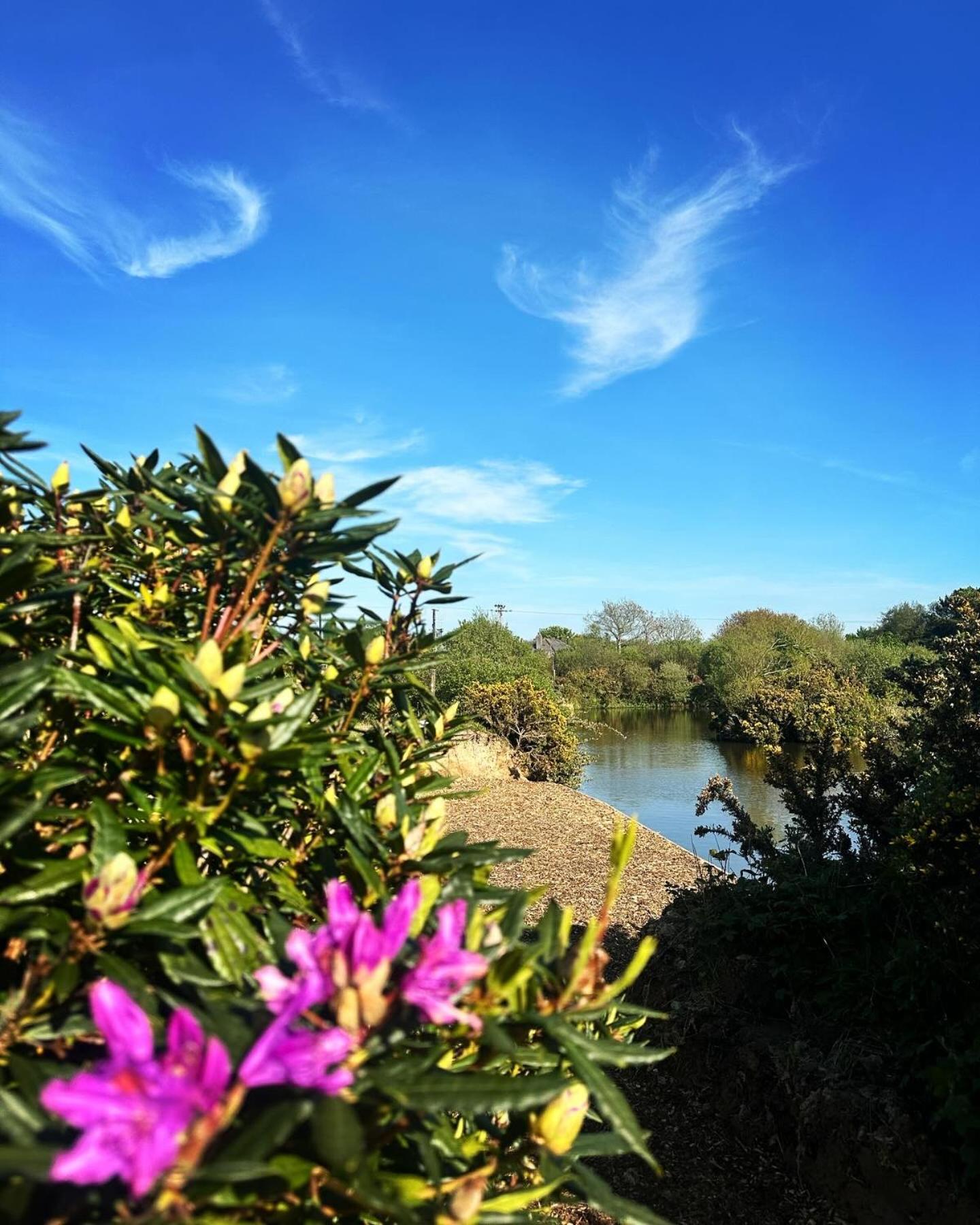 Lakeside Glamping Firecrest St Columb Major Esterno foto