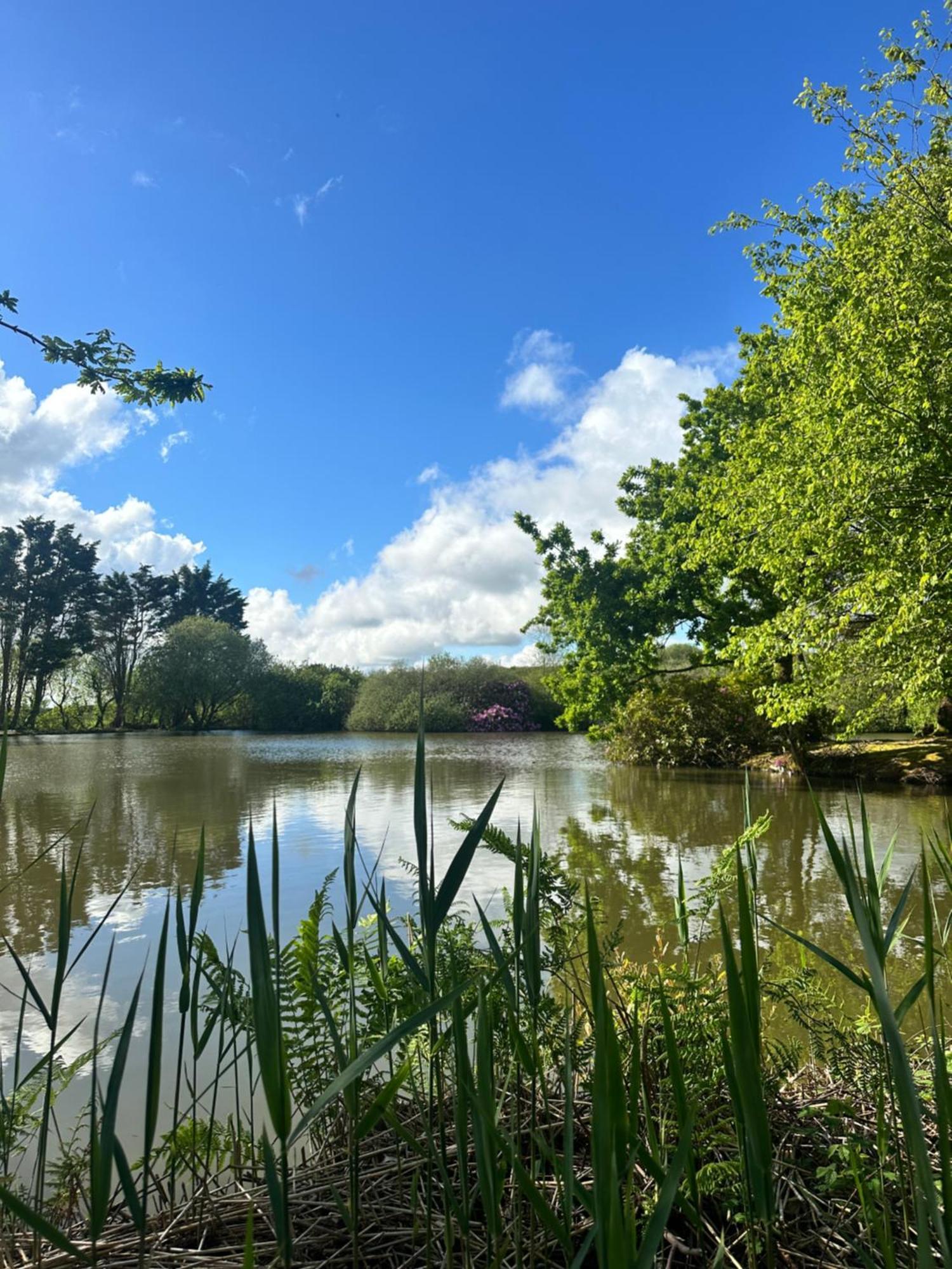 Lakeside Glamping Firecrest St Columb Major Esterno foto
