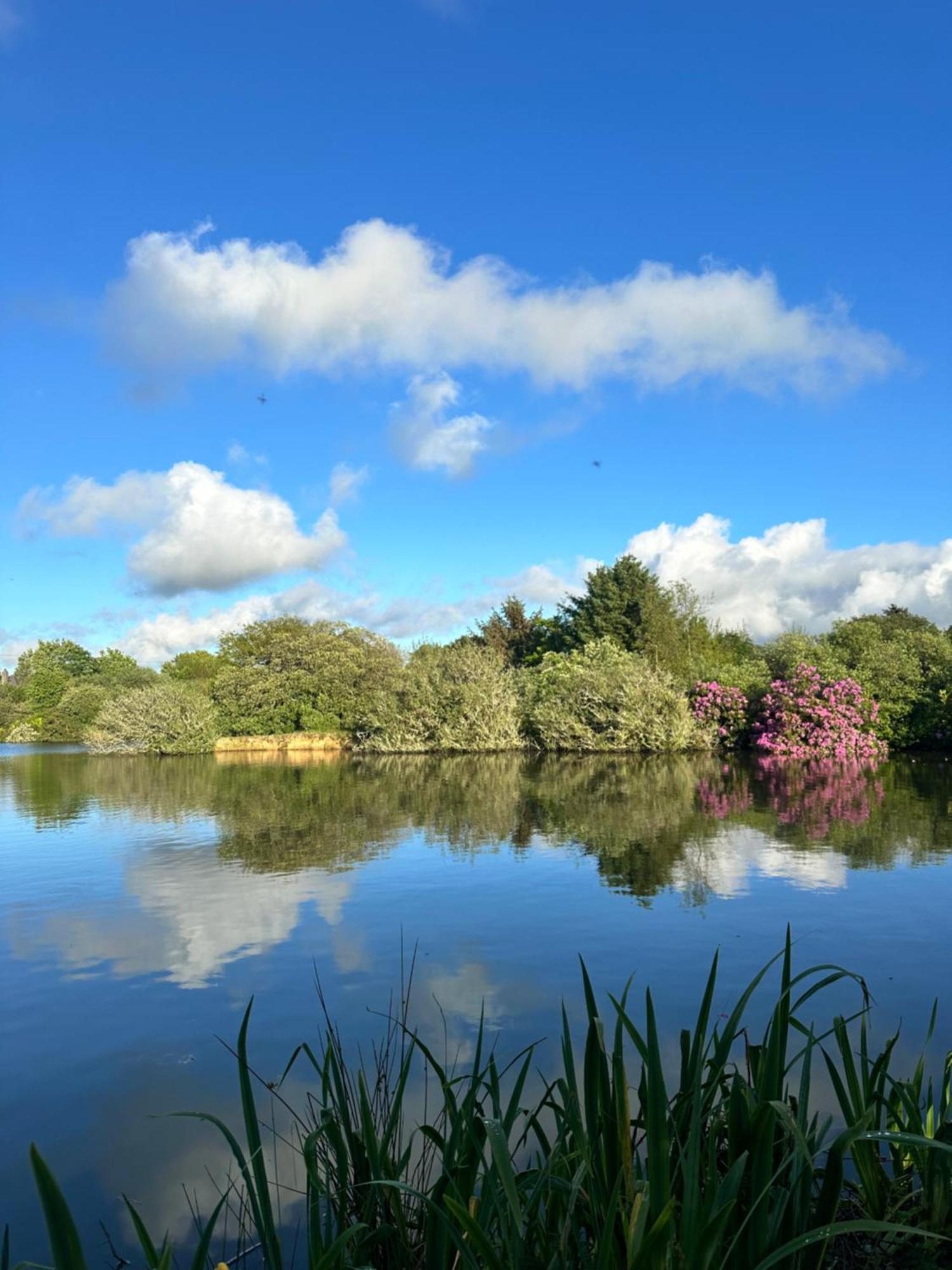 Lakeside Glamping Firecrest St Columb Major Esterno foto