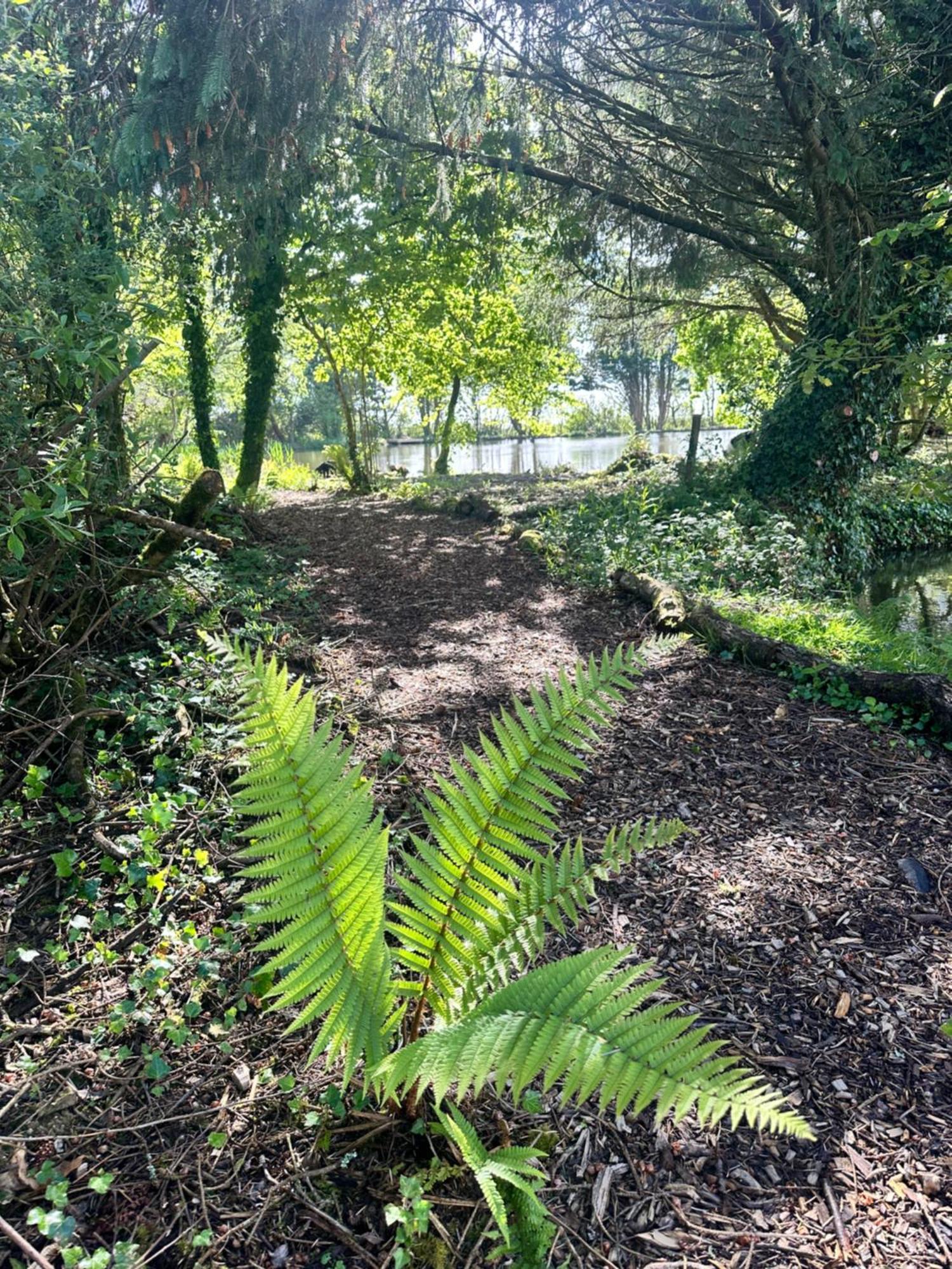 Lakeside Glamping Firecrest St Columb Major Esterno foto